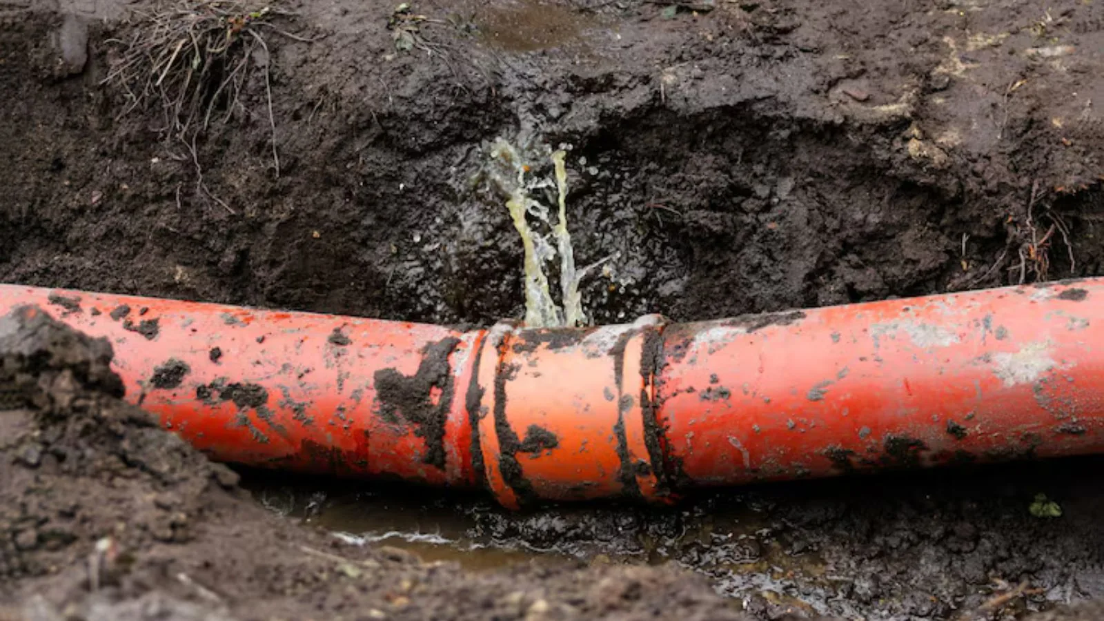 Water Line Repair & Replacement in Athens, GA